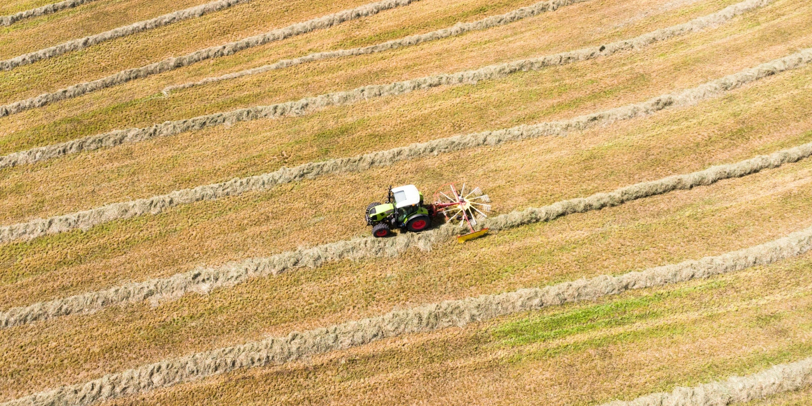 BTSA ACD : Agronomie et Cultures Durables