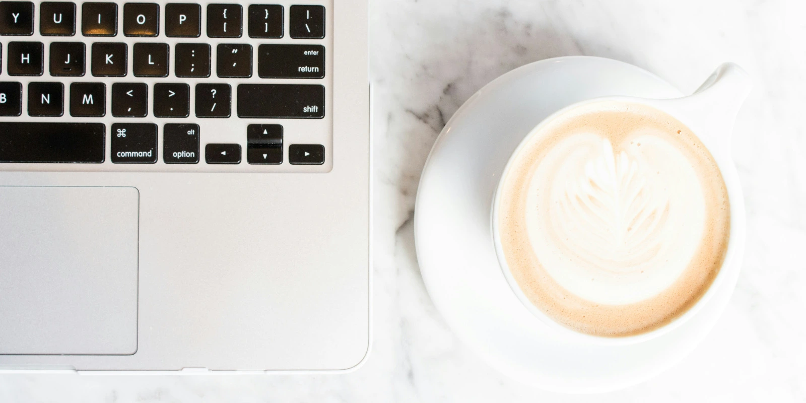 BTSA ACD : Programme et Débouchés