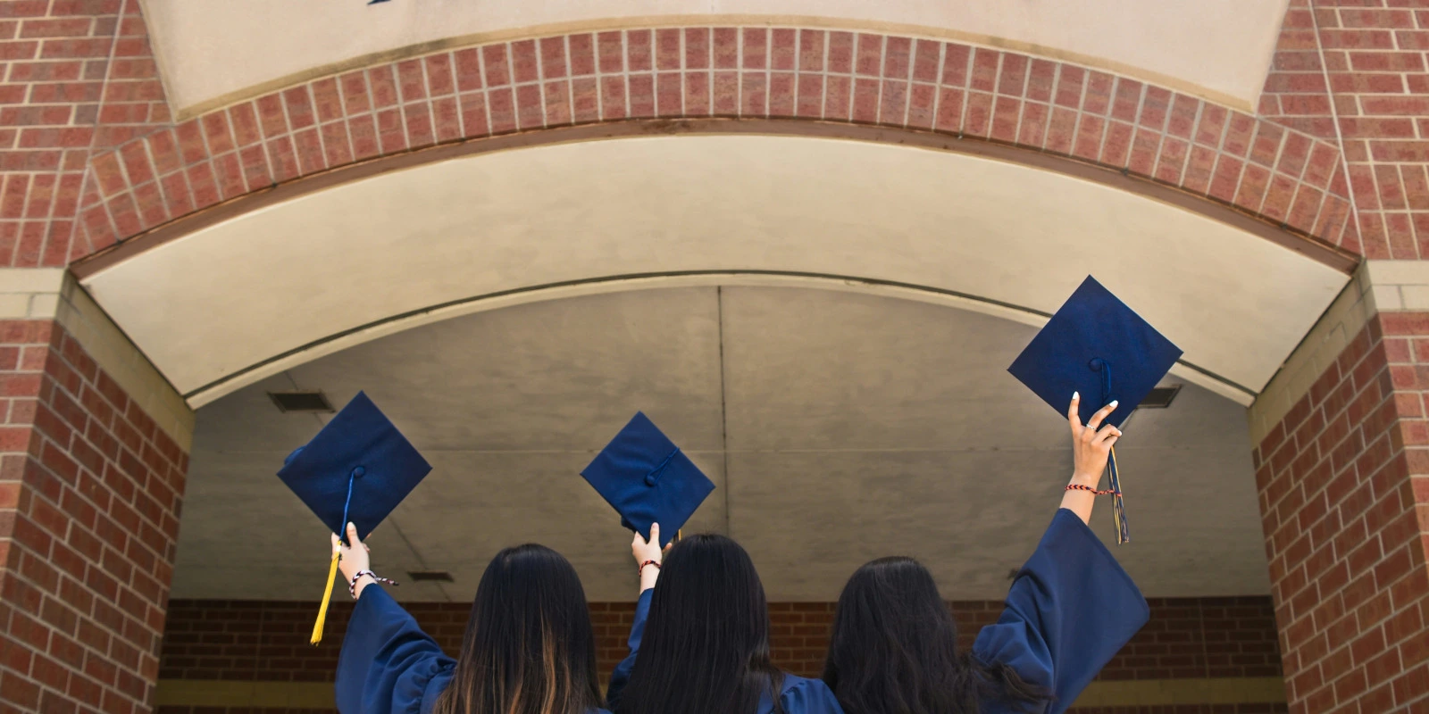 Les Débouchés du BTSA ACD en Agronomie